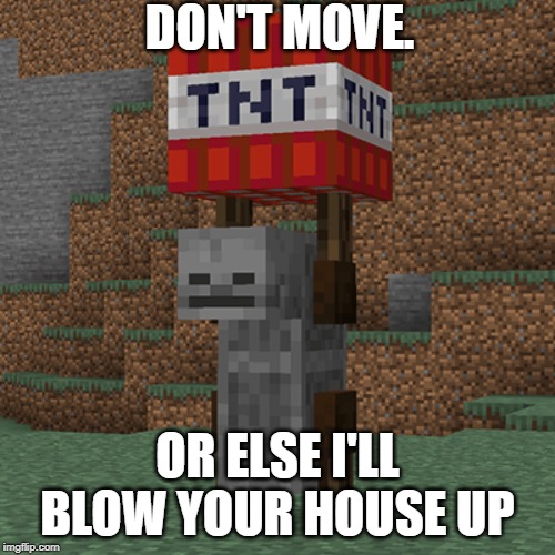 Tnt yeeter | DON'T MOVE. OR ELSE I'LL BLOW YOUR HOUSE UP | image tagged in tnt yeeter | made w/ Imgflip meme maker