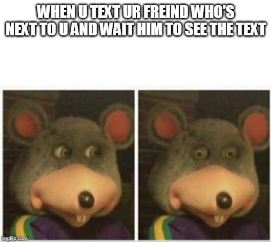 chuck e cheese rat stare | WHEN U TEXT UR FREIND WHO'S NEXT TO U AND WAIT HIM TO SEE THE TEXT | image tagged in chuck e cheese rat stare | made w/ Imgflip meme maker