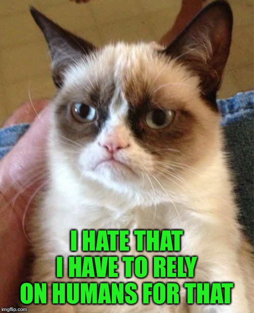Grumpy Cat Meme | I HATE THAT I HAVE TO RELY ON HUMANS FOR THAT | image tagged in memes,grumpy cat | made w/ Imgflip meme maker