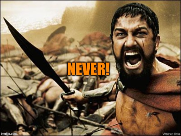 Spartan Leonidas | NEVER! | image tagged in spartan leonidas | made w/ Imgflip meme maker
