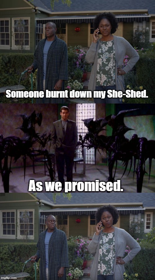 Who burnt down the She-Shed?  The Shadows know... | Someone burnt down my She-Shed. As we promised. | image tagged in babylon 5,she-shed | made w/ Imgflip meme maker