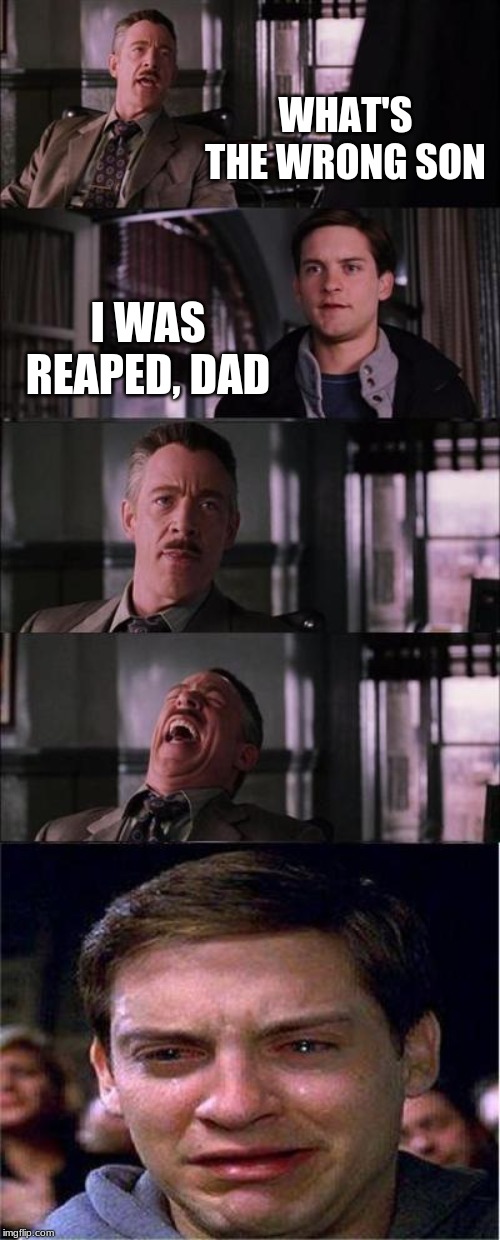 Peter Parker Cry Meme | WHAT'S THE WRONG SON; I WAS REAPED, DAD | image tagged in memes,peter parker cry | made w/ Imgflip meme maker