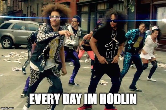 Party Rock Anthem | EVERY DAY IM HODLIN | image tagged in party rock anthem | made w/ Imgflip meme maker