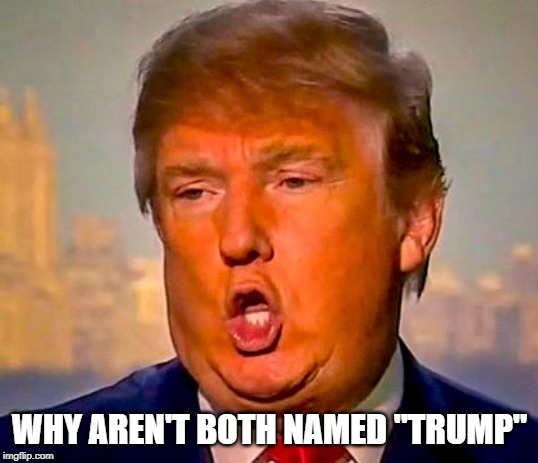 Trump Orange | WHY AREN'T BOTH NAMED "TRUMP" | image tagged in trump orange | made w/ Imgflip meme maker