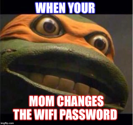 teen age mutant ninja turtle | WHEN YOUR; MOM CHANGES THE WIFI PASSWORD | image tagged in teen age mutant ninja turtle | made w/ Imgflip meme maker