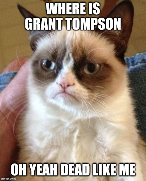 Grumpy Cat | WHERE IS GRANT TOMPSON; OH YEAH DEAD LIKE ME | image tagged in memes,grumpy cat | made w/ Imgflip meme maker