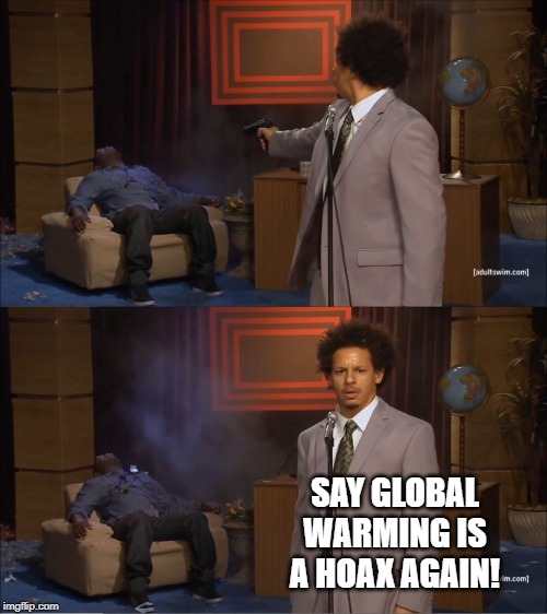 Samuel L. No Nonsense | SAY GLOBAL WARMING IS A HOAX AGAIN! | image tagged in memes,who killed hannibal,global warming,hoax | made w/ Imgflip meme maker