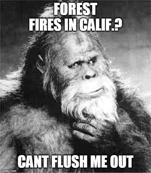 Bigfoot | FOREST FIRES IN CALIF.? CANT FLUSH ME OUT | image tagged in bigfoot | made w/ Imgflip meme maker