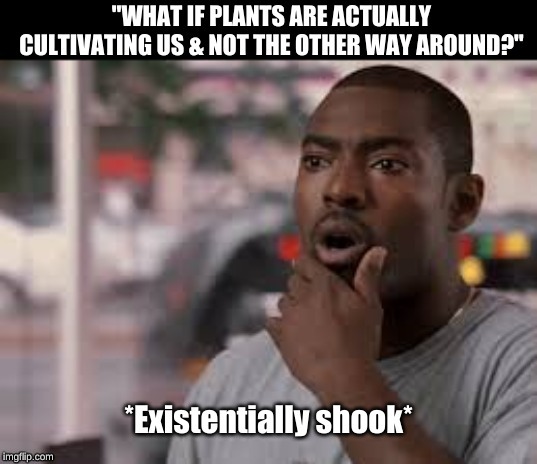 Existentially Shook | image tagged in existentially shook | made w/ Imgflip meme maker