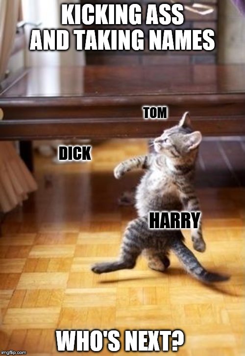 Cool Cat Stroll | KICKING ASS AND TAKING NAMES; TOM; DICK; HARRY; WHO'S NEXT? | image tagged in memes,cool cat stroll,funny memes | made w/ Imgflip meme maker