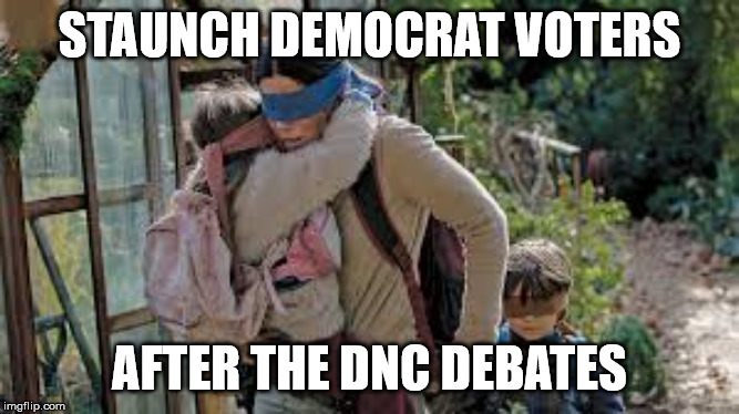 Bird box | STAUNCH DEMOCRAT VOTERS; AFTER THE DNC DEBATES | image tagged in bird box | made w/ Imgflip meme maker
