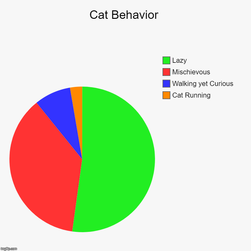 Cat Behavior | Cat Running, Walking yet Curious, Mischievous, Lazy | image tagged in charts,pie charts | made w/ Imgflip chart maker