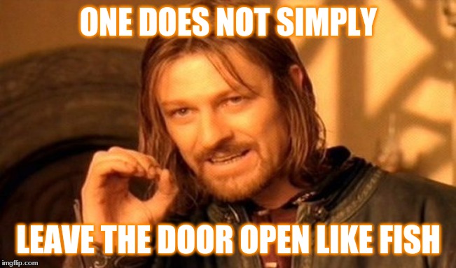 One Does Not Simply | ONE DOES NOT SIMPLY; LEAVE THE DOOR OPEN LIKE FISH | image tagged in memes,one does not simply | made w/ Imgflip meme maker