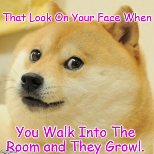 Doge Meme | That Look On Your Face When; You Walk Into The Room and They Growl. | image tagged in memes,doge | made w/ Imgflip meme maker