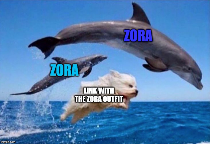 Dog swims with dolphins  | ZORA; ZORA; LINK WITH THE ZORA OUTFIT | image tagged in dog swims with dolphins | made w/ Imgflip meme maker