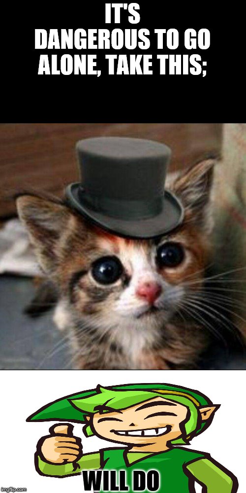 Adorable cat | IT'S DANGEROUS TO GO ALONE, TAKE THIS;; WILL DO | image tagged in adorable cat | made w/ Imgflip meme maker
