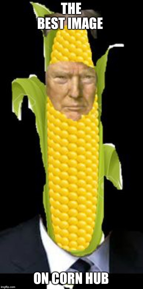 THE BEST IMAGE; ON CORN HUB | image tagged in donald trump | made w/ Imgflip meme maker