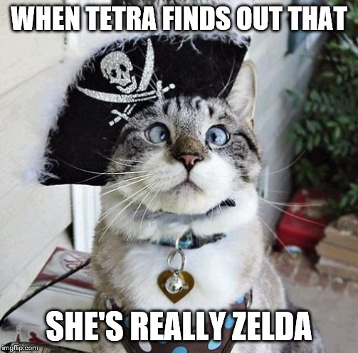 Spangles Meme | WHEN TETRA FINDS OUT THAT; SHE'S REALLY ZELDA | image tagged in memes,spangles | made w/ Imgflip meme maker