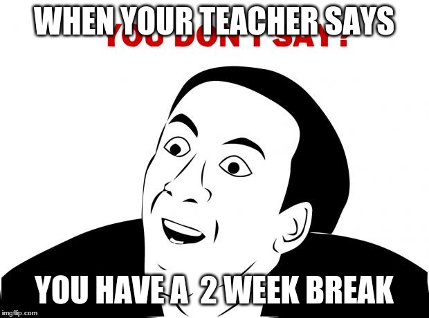 You Don't Say Meme | WHEN YOUR TEACHER SAYS; YOU HAVE A  2 WEEK BREAK | image tagged in memes,you don't say | made w/ Imgflip meme maker