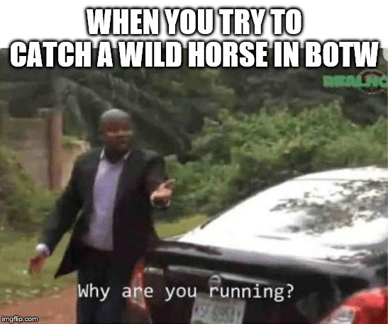 why are you running | WHEN YOU TRY TO CATCH A WILD HORSE IN BOTW | image tagged in why are you running | made w/ Imgflip meme maker