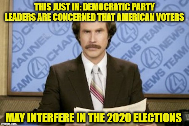 Ron Burgundy | THIS JUST IN: DEMOCRATIC PARTY LEADERS ARE CONCERNED THAT AMERICAN VOTERS; MAY INTERFERE IN THE 2020 ELECTIONS | image tagged in memes,ron burgundy | made w/ Imgflip meme maker