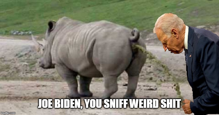 Joe Biden sniffing | JOE BIDEN, YOU SNIFF WEIRD SHIT | image tagged in joe biden sniffing | made w/ Imgflip meme maker