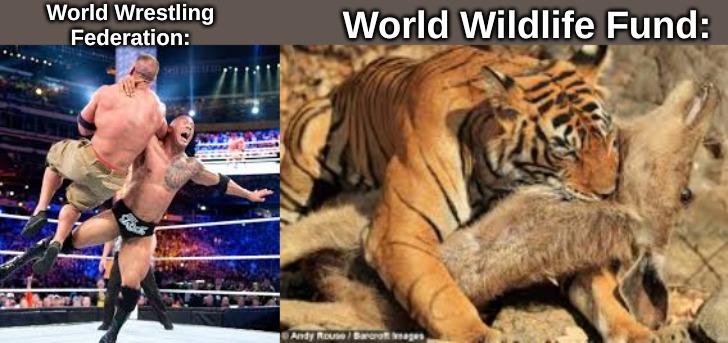 Why it is WWE now: | World Wrestling Federation:; World Wildlife Fund: | image tagged in memes,copyright | made w/ Imgflip meme maker
