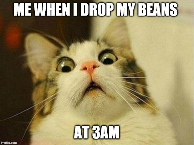 Scared Cat | ME WHEN I DROP MY BEANS; AT 3AM | image tagged in memes,scared cat | made w/ Imgflip meme maker