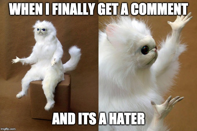 Persian Cat Room Guardian Meme | WHEN I FINALLY GET A COMMENT; AND ITS A HATER | image tagged in memes,persian cat room guardian | made w/ Imgflip meme maker