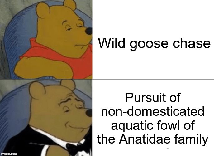 Tuxedo Winnie The Pooh | Wild goose chase; Pursuit of non-domesticated aquatic fowl of the Anatidae family | image tagged in memes,tuxedo winnie the pooh | made w/ Imgflip meme maker