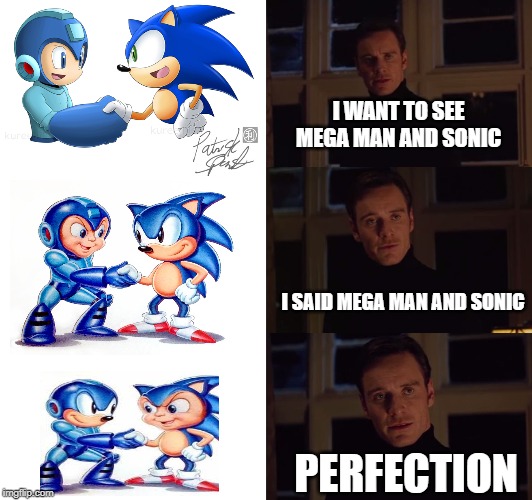 perfection | I WANT TO SEE MEGA MAN AND SONIC; I SAID MEGA MAN AND SONIC; PERFECTION | image tagged in perfection | made w/ Imgflip meme maker