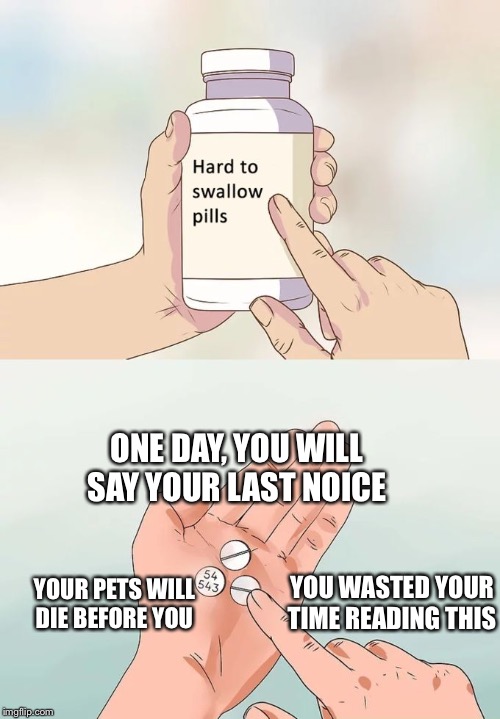 Hard To Swallow Pills | ONE DAY, YOU WILL SAY YOUR LAST NOICE; YOUR PETS WILL DIE BEFORE YOU; YOU WASTED YOUR TIME READING THIS | image tagged in memes,hard to swallow pills | made w/ Imgflip meme maker