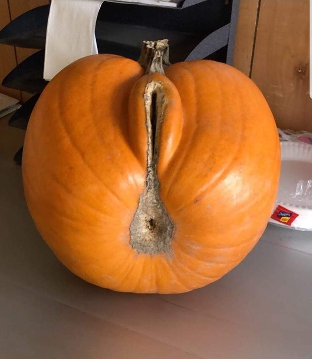 Sexy pumpkin. 