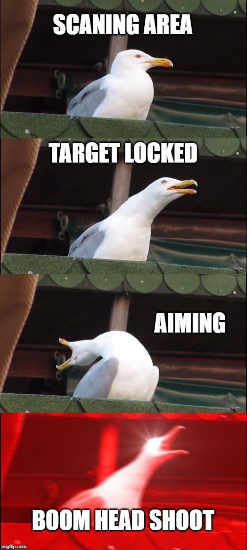 Inhaling Seagull Meme | SCANING AREA; TARGET LOCKED; AIMING; BOOM HEAD SHOOT | image tagged in memes,inhaling seagull | made w/ Imgflip meme maker
