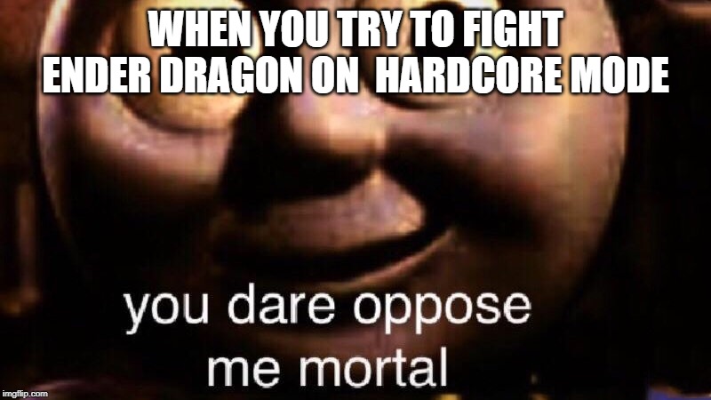 You dare oppose me mortal | WHEN YOU TRY TO FIGHT ENDER DRAGON ON  HARDCORE MODE | image tagged in you dare oppose me mortal | made w/ Imgflip meme maker