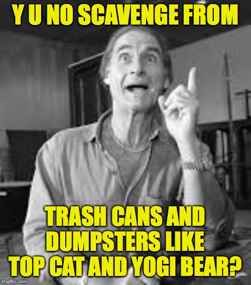 Y U NO SCAVENGE FROM TRASH CANS AND DUMPSTERS LIKE TOP CAT AND YOGI BEAR? | made w/ Imgflip meme maker