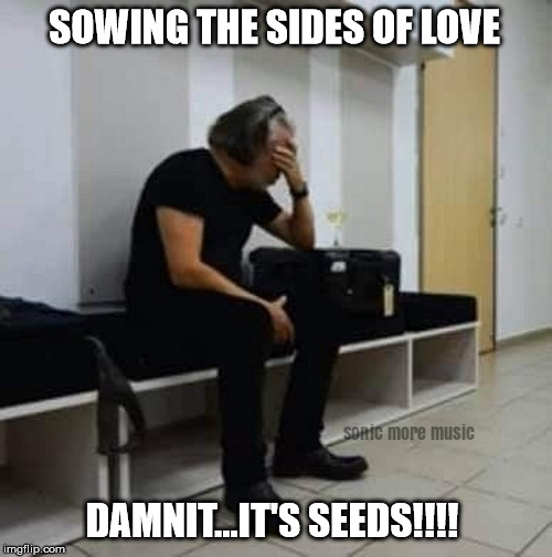 Tears For Fears | SOWING THE SIDES OF LOVE; DAMNIT...IT'S SEEDS!!!! | image tagged in tears for fears,roland orzabal,music,sonic more music | made w/ Imgflip meme maker