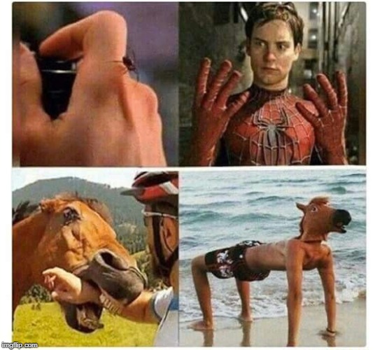 something stupid for yall | image tagged in spiderman | made w/ Imgflip meme maker