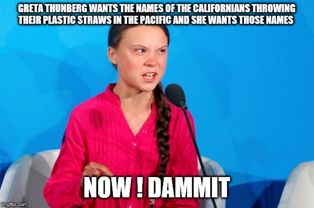 Little Greta's pissed | GRETA THUNBERG WANTS THE NAMES OF THE CALIFORNIANS THROWING THEIR PLASTIC STRAWS IN THE PACIFIC AND SHE WANTS THOSE NAMES; NOW ! DAMMIT | image tagged in greta thunberg,climate change,democrats | made w/ Imgflip meme maker