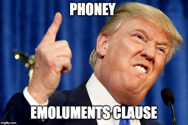 But it's enshrined in the US Constitution. | PHONEY; EMOLUMENTS CLAUSE | image tagged in donald trump,corruption,donald trump is an idiot,bad president,lock him up | made w/ Imgflip meme maker