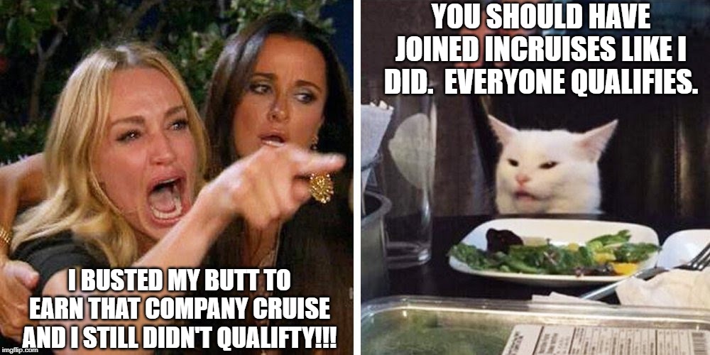 Smudge the cat | YOU SHOULD HAVE JOINED INCRUISES LIKE I DID.  EVERYONE QUALIFIES. I BUSTED MY BUTT TO EARN THAT COMPANY CRUISE AND I STILL DIDN'T QUALIFTY!!! | image tagged in smudge the cat | made w/ Imgflip meme maker