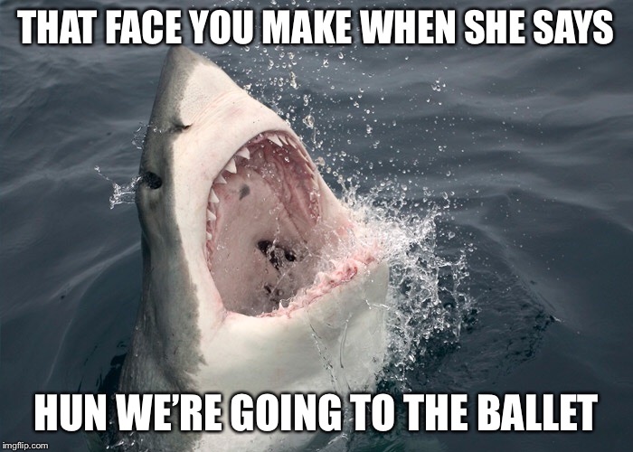 Shark Week | THAT FACE YOU MAKE WHEN SHE SAYS; HUN WE’RE GOING TO THE BALLET | image tagged in shark week,memes,funny,relationship status,true story bro | made w/ Imgflip meme maker