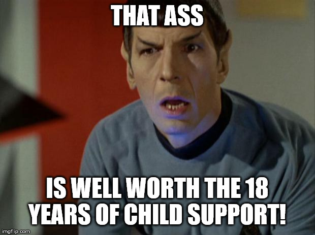 Shocked Spock  | THAT ASS; IS WELL WORTH THE 18 YEARS OF CHILD SUPPORT! | image tagged in shocked spock | made w/ Imgflip meme maker