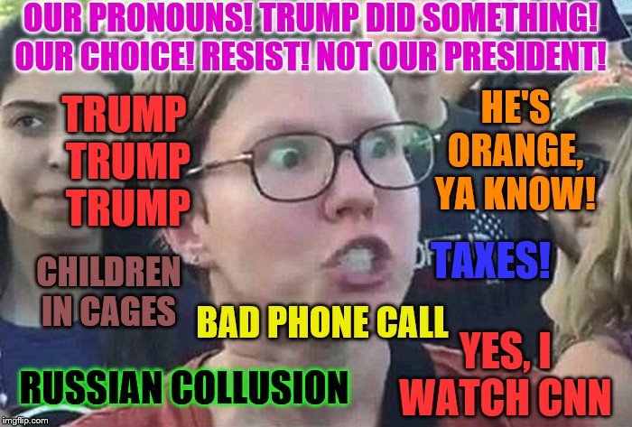 Triggered Liberal | OUR PRONOUNS! TRUMP DID SOMETHING! OUR CHOICE! RESIST! NOT OUR PRESIDENT! TRUMP 
TRUMP TRUMP; HE'S ORANGE, YA KNOW! TAXES! CHILDREN IN CAGES; BAD PHONE CALL; YES, I WATCH CNN; RUSSIAN COLLUSION | image tagged in triggered liberal,memes,political meme | made w/ Imgflip meme maker