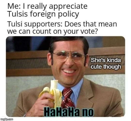 The interest only goes skin deep | She's kinda cute though | image tagged in tulsi gabbard,election 2020 | made w/ Imgflip meme maker
