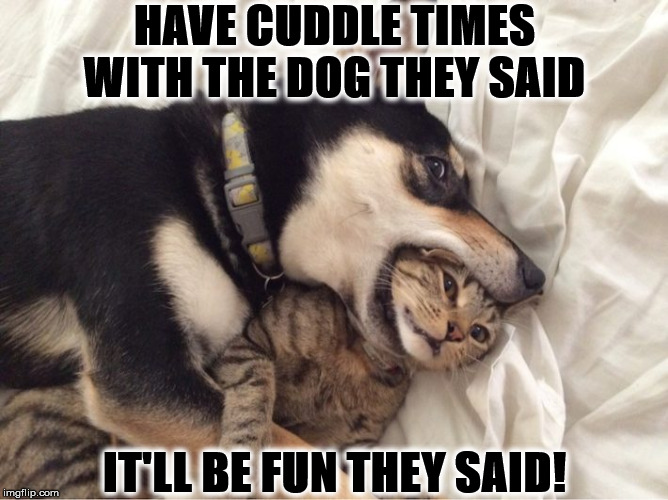 IT'LL BE FUN | HAVE CUDDLE TIMES WITH THE DOG THEY SAID; IT'LL BE FUN THEY SAID! | image tagged in it'll be fun | made w/ Imgflip meme maker