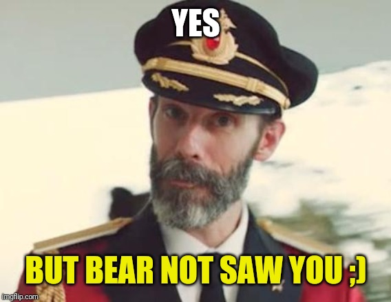 Captain Obvious | YES BUT BEAR NOT SAW YOU ;) | image tagged in captain obvious | made w/ Imgflip meme maker