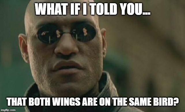 Matrix Morpheus | WHAT IF I TOLD YOU... THAT BOTH WINGS ARE ON THE SAME BIRD? | image tagged in memes,matrix morpheus | made w/ Imgflip meme maker