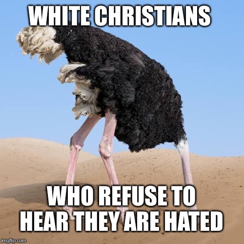 Head in a hole | WHITE CHRISTIANS; WHO REFUSE TO HEAR THEY ARE HATED | image tagged in head in a hole | made w/ Imgflip meme maker