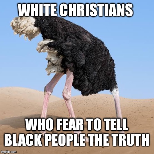 Head in a hole | WHITE CHRISTIANS; WHO FEAR TO TELL BLACK PEOPLE THE TRUTH | image tagged in head in a hole | made w/ Imgflip meme maker